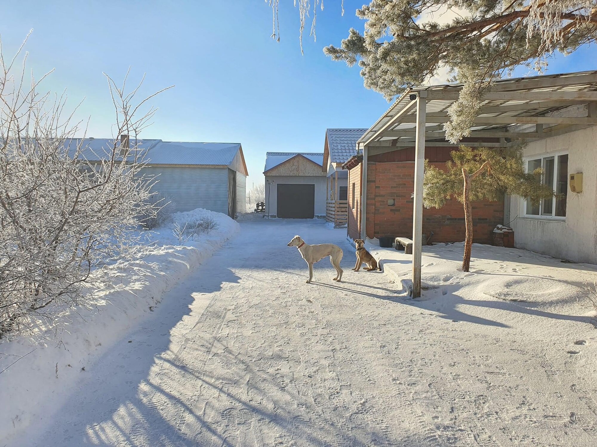 Accommodation - Photo 4